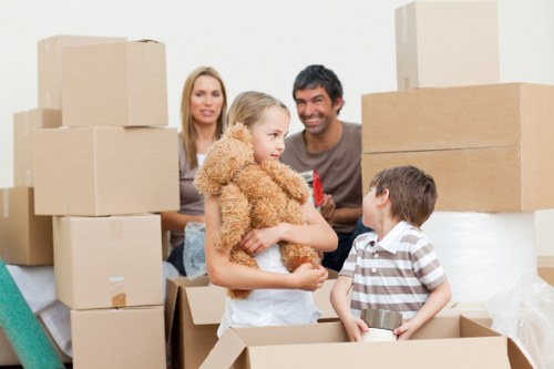Professional van moving service for business transport in Tottenham