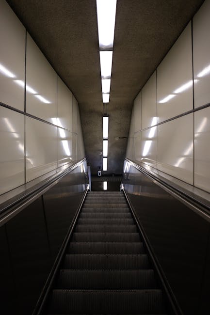 A downward view of an indoor escalator with black steps and silver side panels, set against white tiled walls illuminated by fluorescent lighting on the ceiling. The escalator is located within a modern, enclosed underground station or transport hub, with no visible passengers or objects. The surrounding environment appears clean and well-maintained, providing a neutral backdrop for an example of typical stair-lift or escalator infrastructure often involved in house relocations or moving logistics, as managed by companies like Man With a Van Tottenham during furniture transport or packing and moving processes related to the Bruce Grove flat move guide.