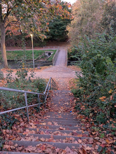 A set of outdoor concrete stairs with metal handrails on both sides, partially covered with fallen autumn leaves, leading down from a wooded area in a park to a pathway with a small bridge and a parking area visible in the background. The surrounding trees have multicoloured foliage, indicating a late autumn setting. In the distance, there is a narrow pathway with a single lamppost illuminating the scene, and then the pathway continues through a green area with additional trees and bushes. This image depicts an outdoor environment suitable for a home relocation setting, demonstrating the kind of exterior access and walking routes that might be considered during a furniture transport or moving process, as relevant to services by Man With a Van Tottenham.