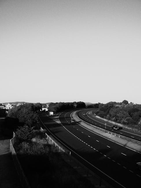 A convoy of three large freight trucks with blue and white Polyfoam DOOF trailers are moving along a multi-lane road during daylight, surrounded by green trees and under a partly cloudy sky. The trucks are positioned in the right and middle lanes with the closest truck in the foreground, showing a rear view with visible wheels, signage, and reflective strips. The road features white dashed lane markings and a blue directional road sign indicating routes A38(E), A38(W), and B6019. On the left side, there's a red triangular warning sign and a smaller rectangular informational sign. The scene captures the loading process typical of house removals and home relocation logistics, with the trucks likely transporting furniture and boxes secured within the trailers. The environment suggests a suburban or semi-rural setting, with the trucks approaching or passing through an area managed by Man With a Van Tottenham, providing professional removals and transport services in the Tottenham area.