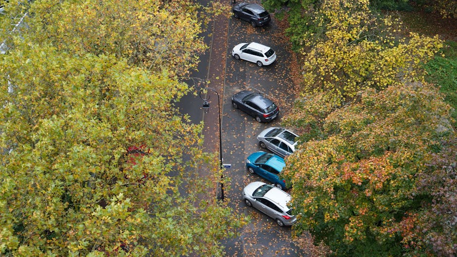 An aerial view in black and white showing a large paved parking lot with numerous parked cars arranged in orderly rows, adjacent to a sports field with marked football pitches and surrounded by a line